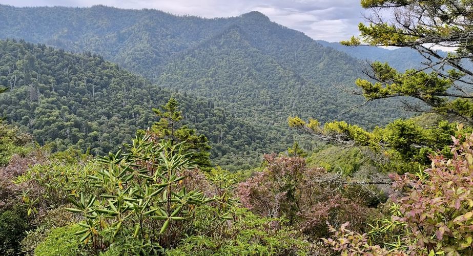 Deep South 106 Deep South 106